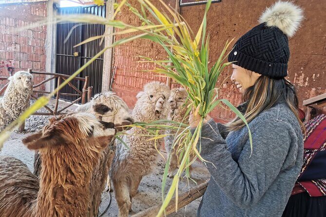 2-Day Chinchero Moray Salt Mines Ollantaytambo and Machupicchu - Exploring the 2-Day Sacred Valley and Machu Picchu Tour in Detail