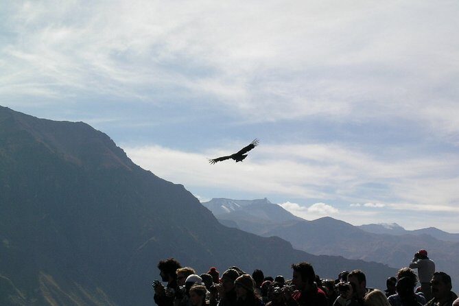 2-Day Colca Canyon Trek - A Deep Dive into the Colca Canyon Trek Experience