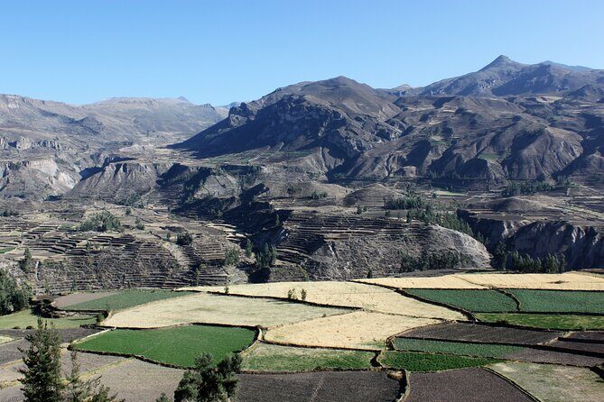 2-Day Colca Canyon, Vicuna Reserve and Condors from Arequipa - What Makes This Tour Worthwhile?