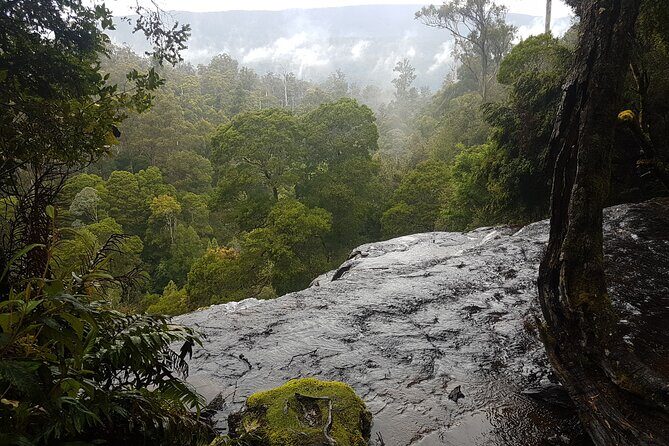 2 Day Cradle Mountain Tour - The Sum Up