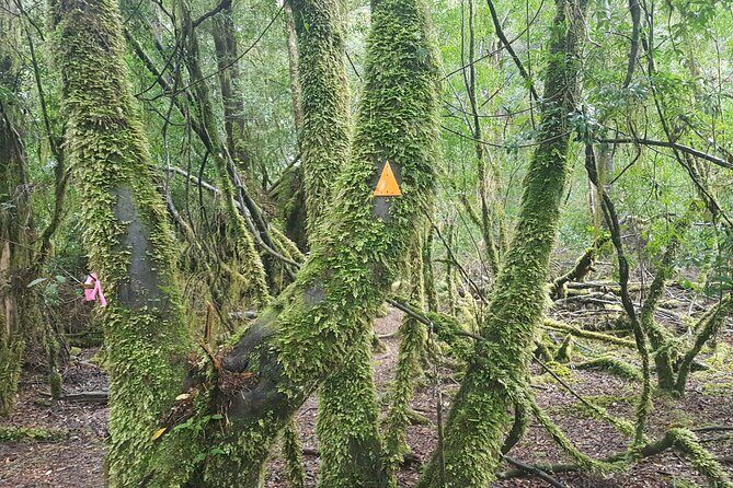 2 Day Cradle Mountain Tour - FAQ