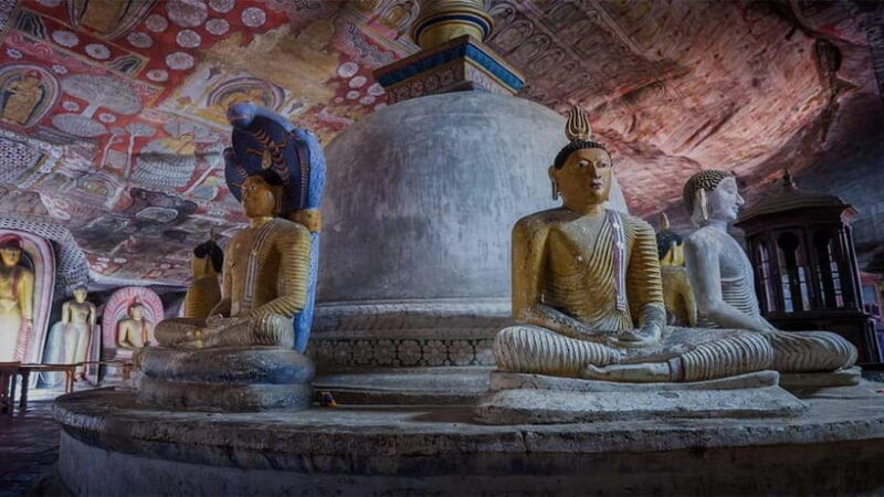 2-Day Cultural & Wildlife Tour to Sigiriya & Minneriya - Discover Sri Lanka’s Cultural and Natural Wonders in Just Two Days