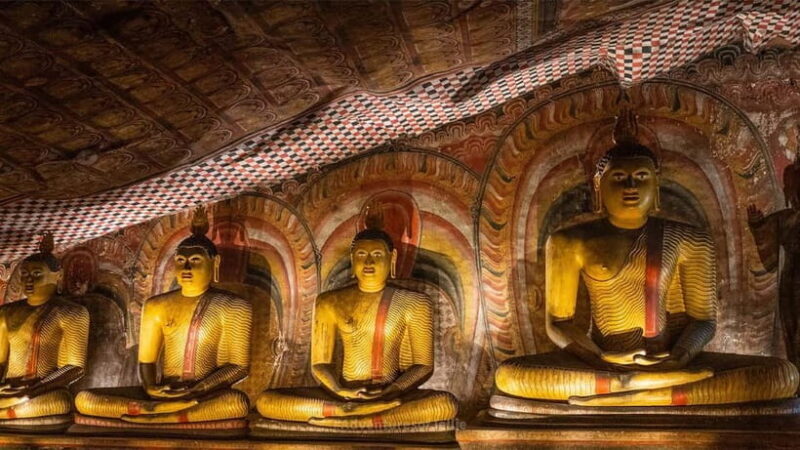 2-Day Cultural & Wildlife Tour to Sigiriya & Minneriya - An In-Depth Look at the 2-Day Tour Experience