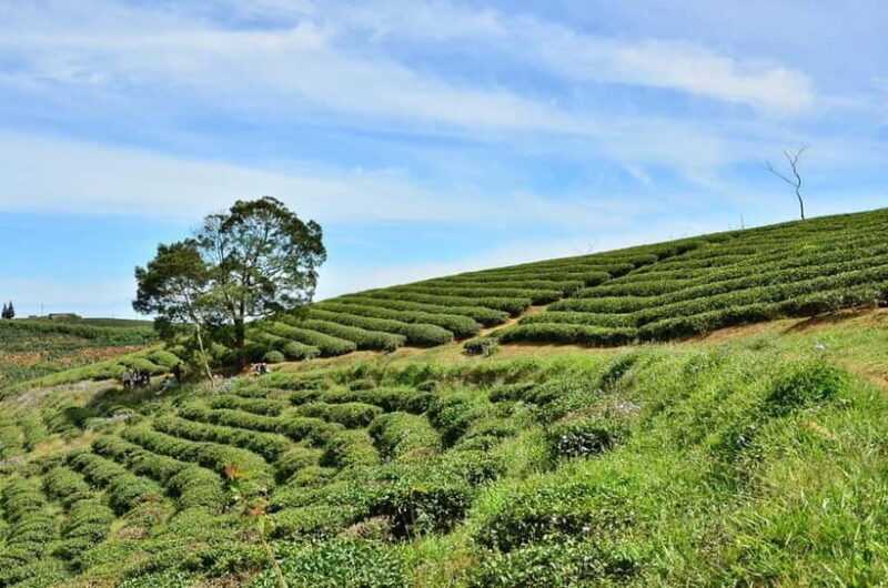 2-Day Dalat Motorcycle Tour To Mui Ne - Exploring Vietnam on Two Wheels: The 2-Day Dalat to Mui Ne Motorcycle Tour