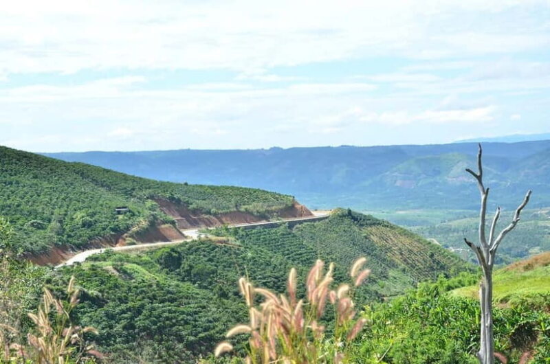 2-Day Dalat Motorcycle Tour To Mui Ne - Who Would Enjoy This Tour?