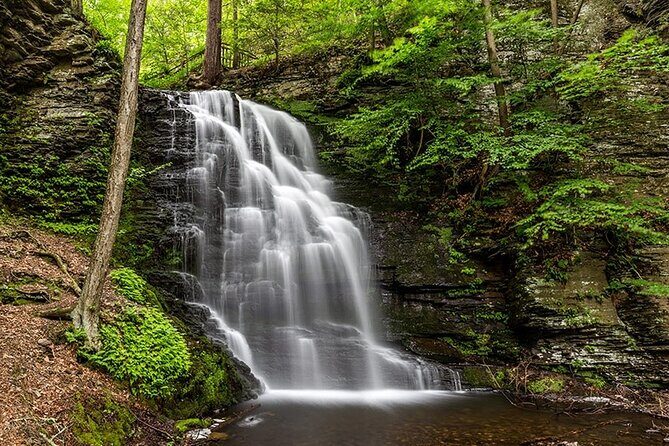 2-Day Dark Sky Stargazing and Bushkill Falls Nature Tour from NYC - What’s Included and What’s Not