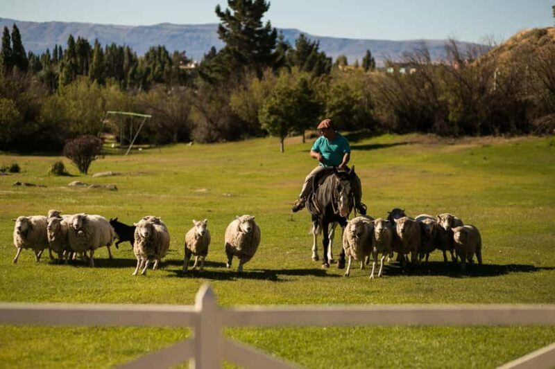 2-Day El Calafate Escape with Opt Airfare from Buenos Aires - Exploring the 2-Day El Calafate Experience in Detail