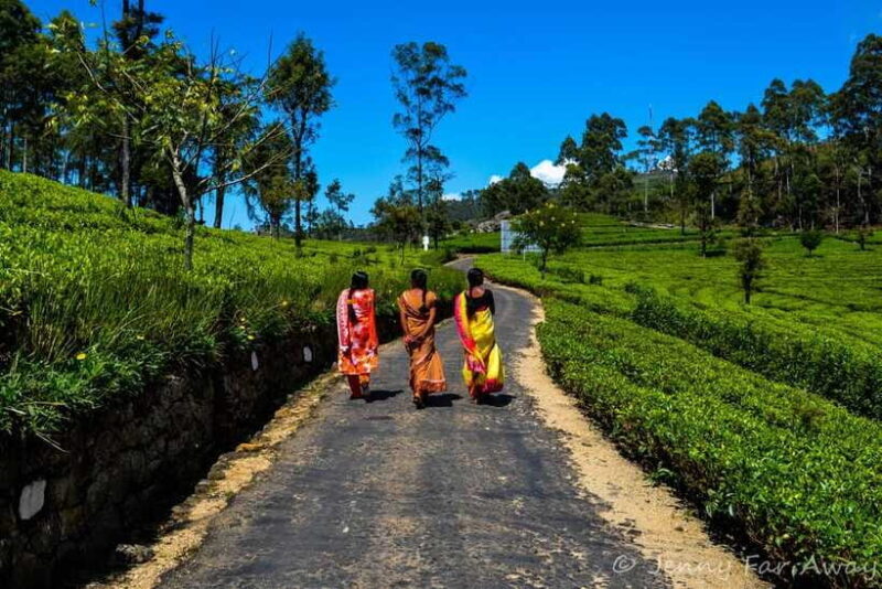 2-Day Ella Tour: Diyaluma Falls Horton Plains & Scenic Train - The Sum Up: Is This Tour Right for You?