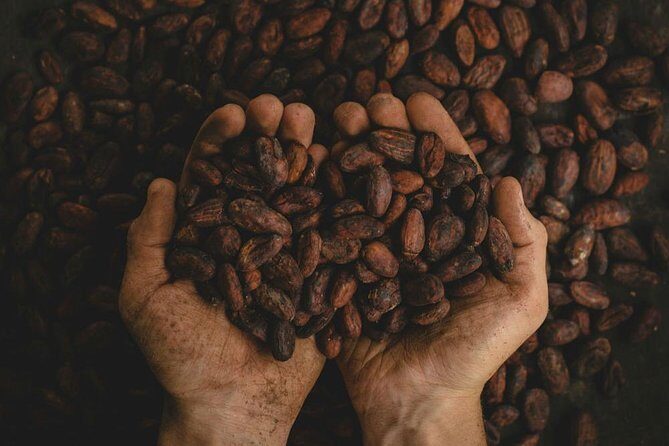 2-Day Exclusive Coffee and Cacao Experience - An In-Depth Look at the 2-Day Coffee and Cacao Tour
