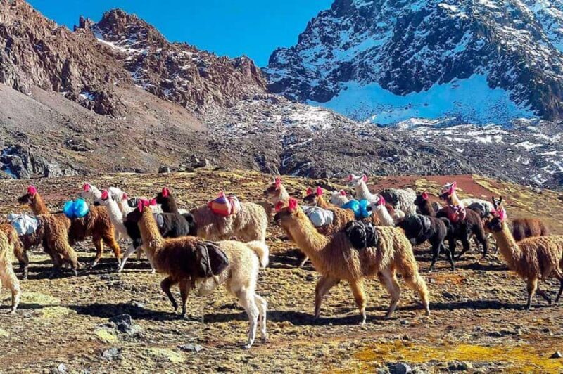 2 day excursion: Ausangate and Montaña de Colores with lunch - Who Will Love This Tour?