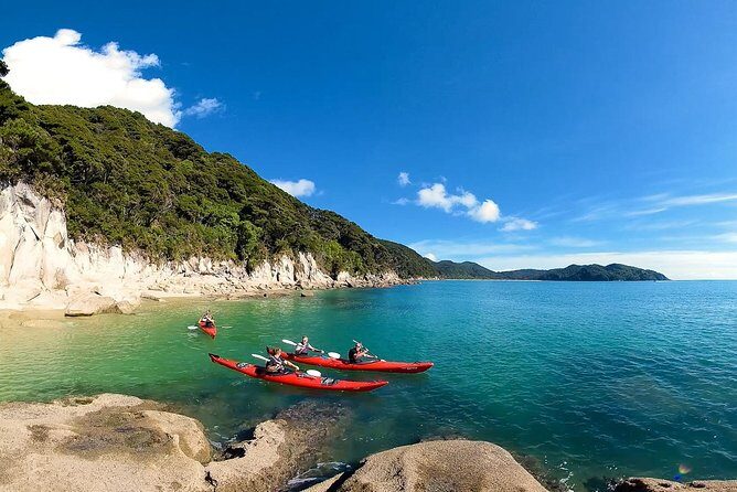 2 Day Freedom Kayak - Kayak Rental - New Zealand - Why This Experience Is Worth Considering