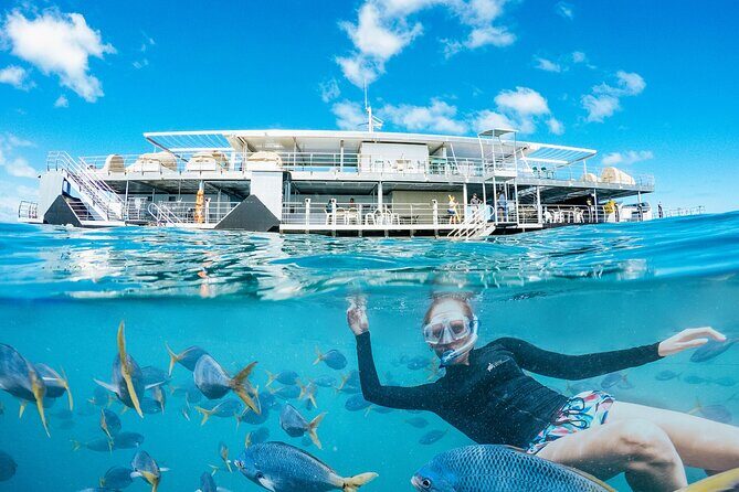 2-Day Great Barrier Reef: Reefsleep Experience - Final Thoughts: Who Will Love This Experience?