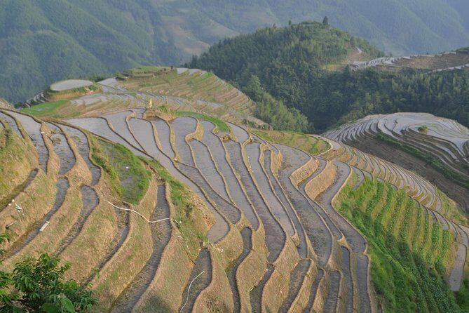 2 Day Guilin Highlights Li River Cruise and Longji Terraces Tour - Key Points