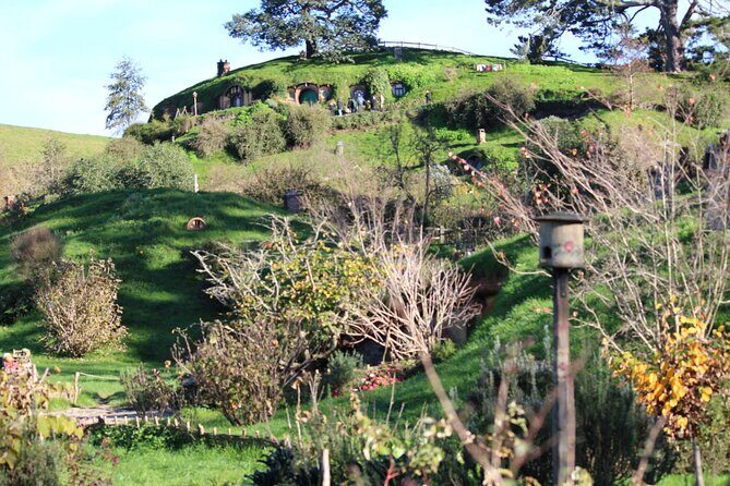 2-Day Hobbiton, Rotorua, Waitomo Caves Tour from Auckland with Accommodation - Key Points