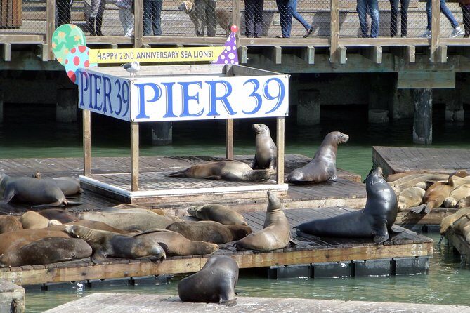 2 Day Hop-On Hop-Off Tour Plus Night Tour - The Route and Major Stops