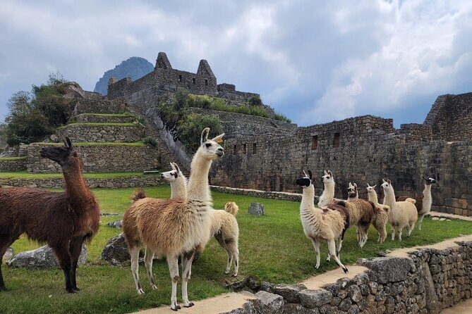 2-Day Inca Trail To Machu Picchu - In-Depth Review of the 2-Day Inca Trail to Machu Picchu