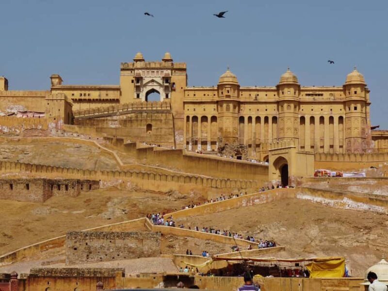 2-Day Jaipur & Sariska Heritage and Wildlife Tour from Delhi - Who Will Love This Tour?