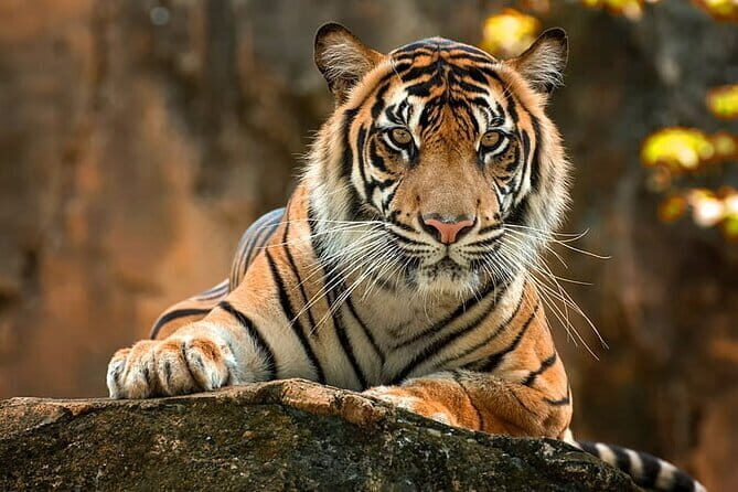 2-Day Jungle Safari with Sunrise view of Taj Mahal - Key Points