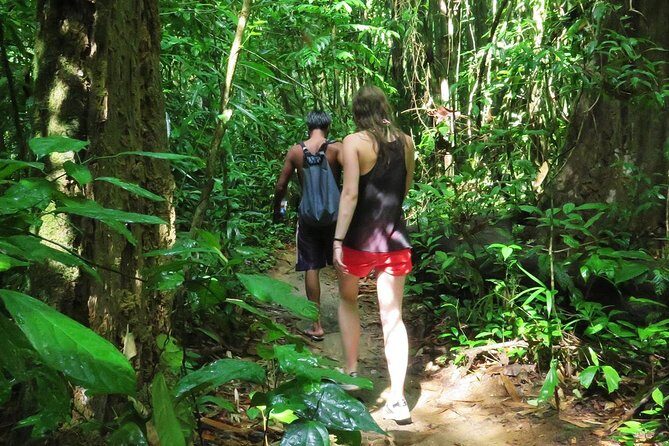 2-Day Khao Sok Jungle Safari from Krabi - The Realities of Basic Accommodation