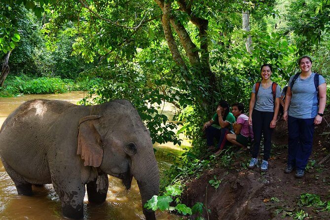 2-Day Kindred Spirit Elephant Sanctuary in Chiang Mai - The Experience: What Youll Really Take Home