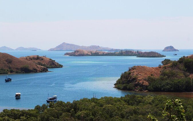 2-Day Komodo National Park and Rinca Island Wildlife Adventure from Bali - Exploring the 2-Day Komodo National Park and Rinca Island Wildlife Adventure from Bali