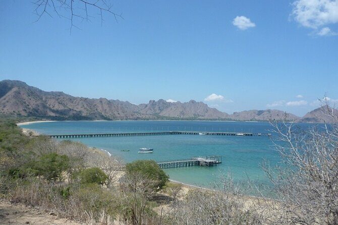 2-Day Komodo National Park and Rinca Island Wildlife Adventure from Bali - Frequently Asked Questions