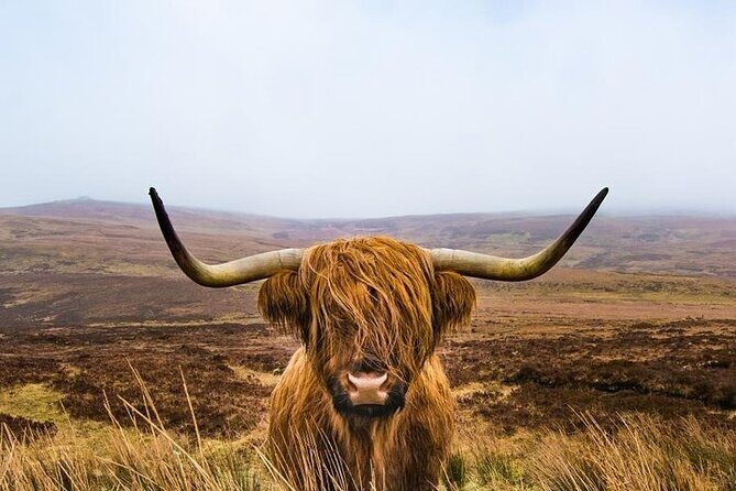 2-Day Loch Lomond, West Highlands, Glencoe & Oban Tour - The Sum Up