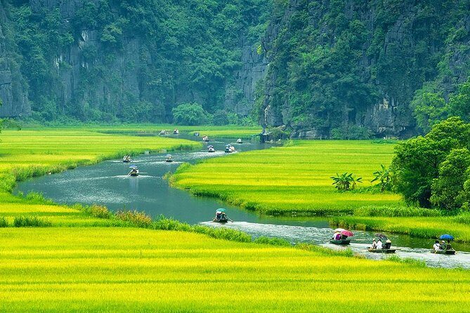 2-day Luxury Ninh Binh: Hoa Lu - Mua Cave - Tam Coc and Cuc Phuong National Park - An In-Depth Review of the 2-Day Ninh Binh Experience
