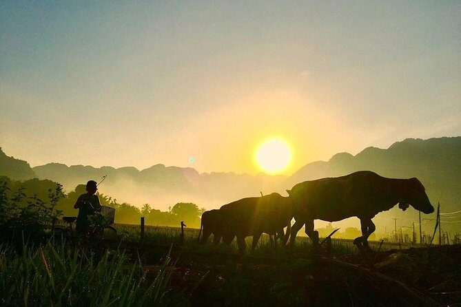 2-Day Mai Chau Valley Tour from Hanoi - Frequently Asked Questions (FAQs)