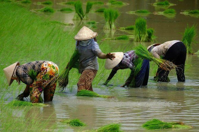 2-Day Mekong Delta and Floating Markets Private Tour - FAQs