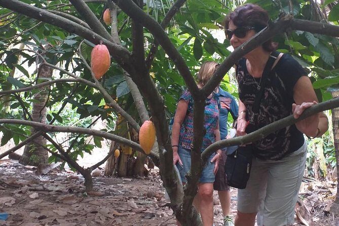 2-Day Mekong Delta with Cai Cang Floating Market from HCM City - The Complete 2-Day Mekong Delta Experience