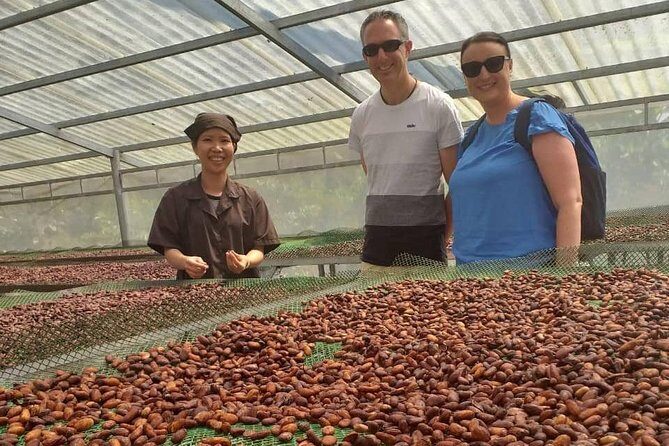 2-Day Mekong Delta with Cai Cang Floating Market from HCM City - Who Will Enjoy This Tour?