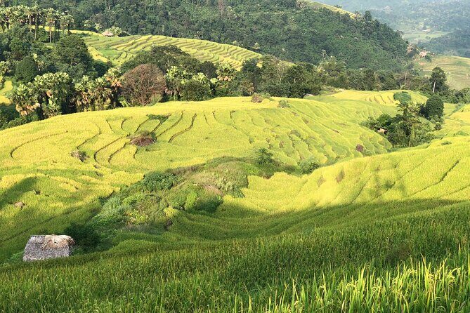 2-Day Motorbike Tour to Mu Cang Chai Loop from Sapa - Key Points