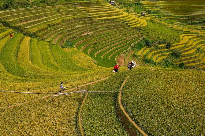 2-Day Motorbike Tour to Mu Cang Chai Loop from Sapa - FAQ