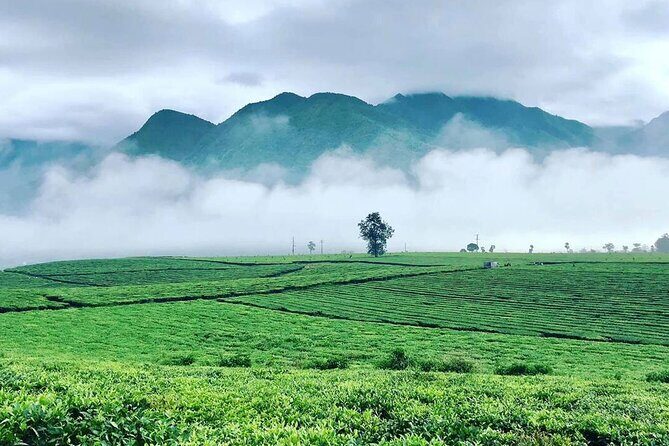 2-Day Motorbike Tour to Mu Cang Chai Loop from Sapa - Final Thoughts