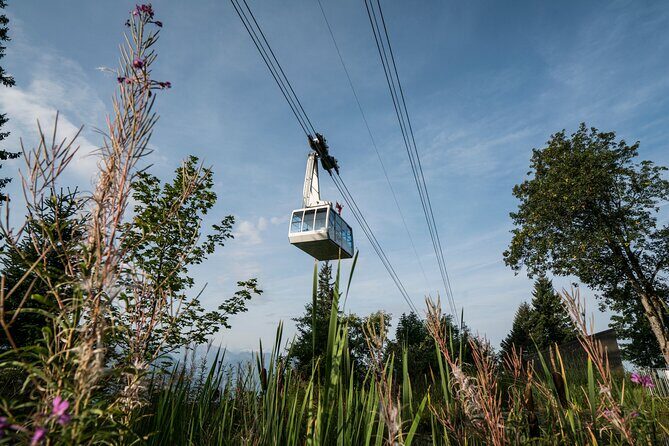 2-Day Mt Rigi Tour from Zurich Including Mineral Baths and Lake Lucerne Cruise - Final Thoughts
