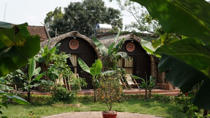 2 Day Ninh Binh: Hoa Lu/Bai Dinh- Trang An/Tam Coc- Mua Cave - Exploring Ninh Binh: A Practical Guide to the 2-Day Tour