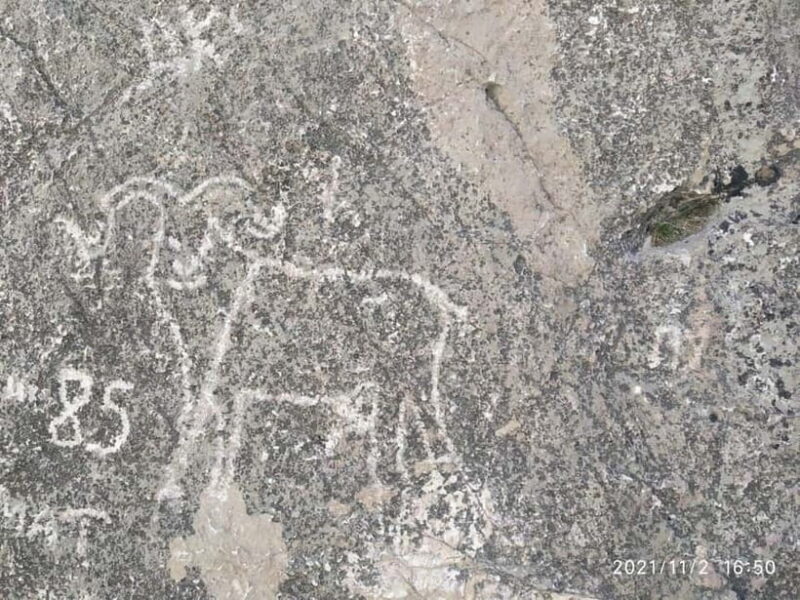 2-Day Nuratau Mountain Tour to Sentob Village from Bukhara. - Key Points