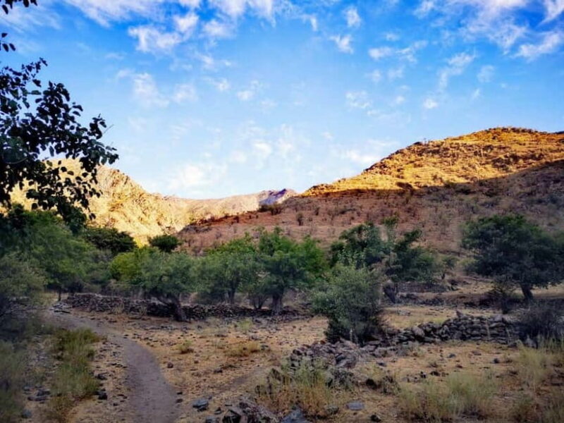 2-Day Nuratau Mountain Tour to Sentob Village from Bukhara. - Exploring the Nuratau Mountain Adventure — A Detailed Review