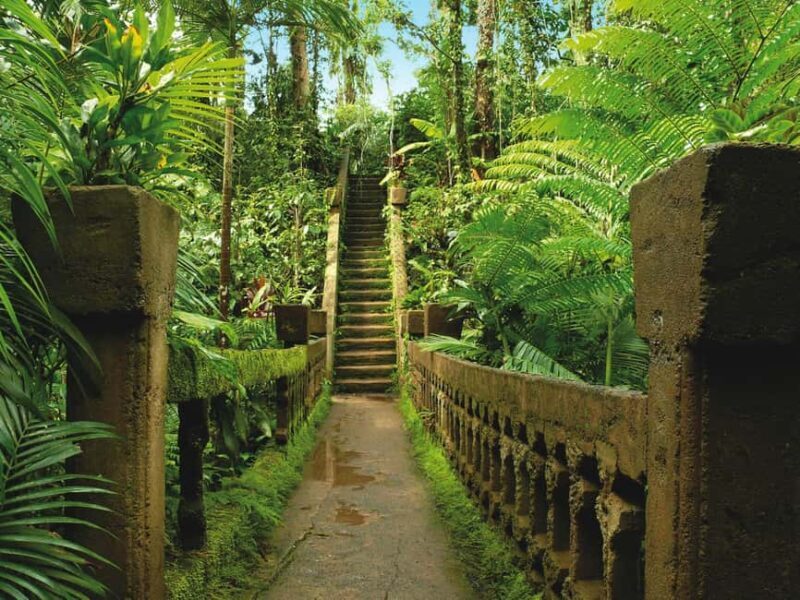 2-Day Paronella Park & Tablelands Tour+Cape Tribulation Tour - Final Thoughts