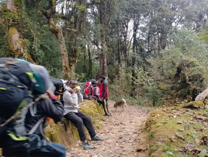 2-Day Poon Hill Hike: Catch the Best Sunrise in Nepal - Why Choose the 2-Day Poon Hill Hike?