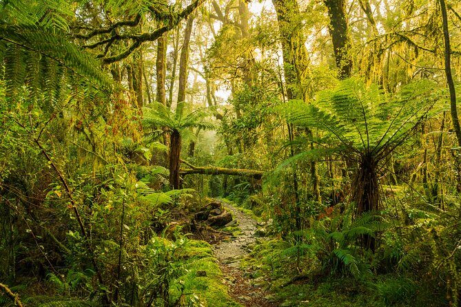 2-day Private Overnight Hurunui River Hot Springs Hike or Bike - What We Think About the Price and Value