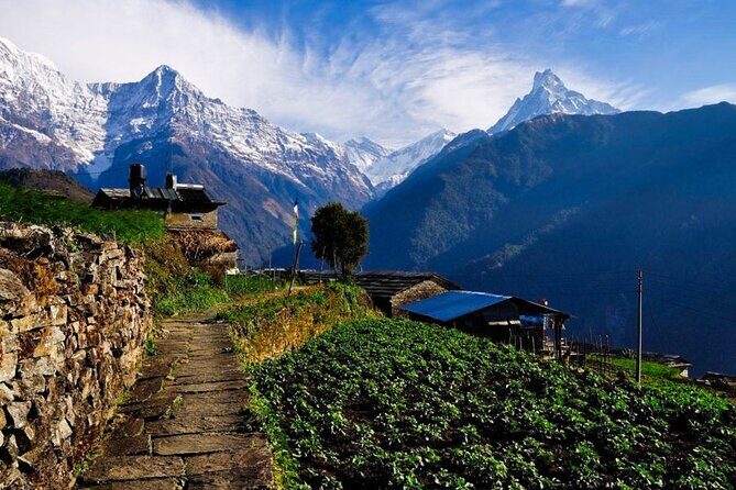 2 Day Private Panchase Trek Tour from Pokhara - Final Thoughts: Is This Trip Right for You?