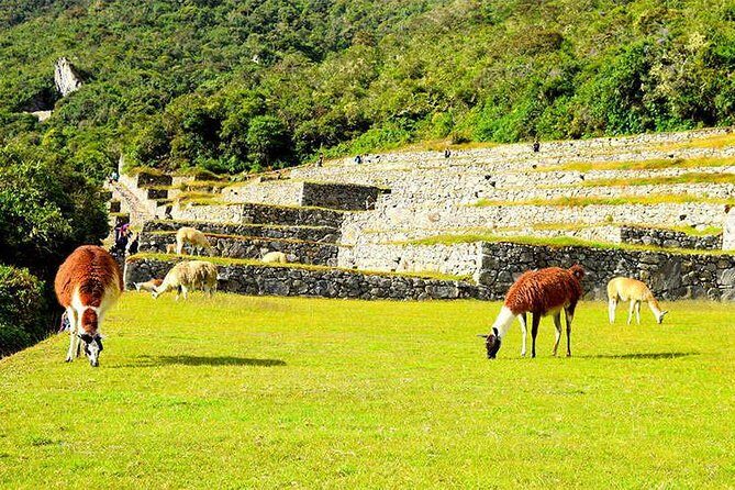 2-Day Private Tour of the Inca Trail to Machu Picchu - The Sum Up