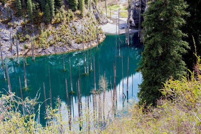 2-Day Private Tour - The Kolsai Lake & Kaindy (Sunken forest) via Charyn canyon - Final Thoughts