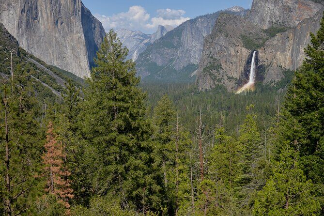 2 Day Private Tour to Yosemite National Park - A Close-Up Look at the 2-Day Private Yosemite National Park Tour