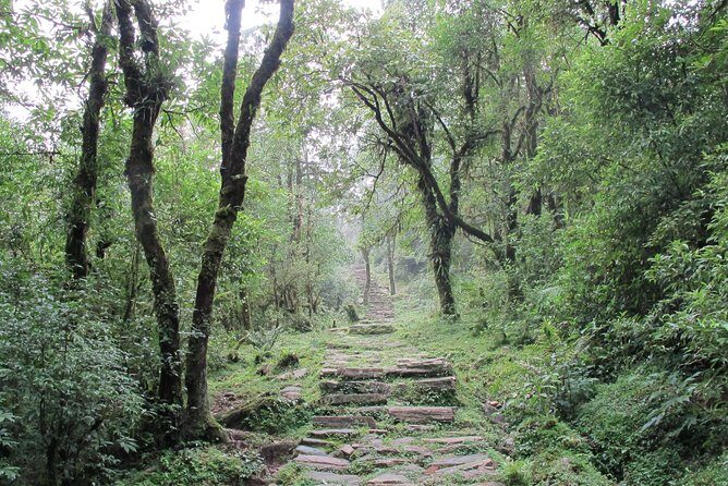 2-Day Private Trekking Tour to Australian Camp & Dhampus - Practical Details and Considerations