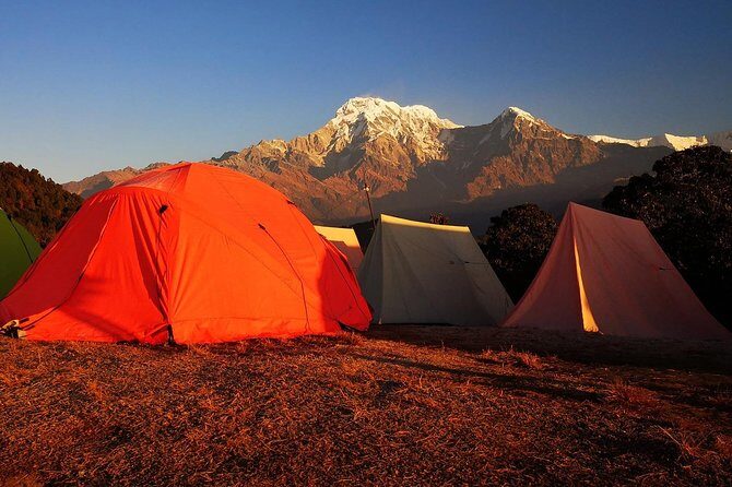 2-Day Private Trekking Tour to Australian Camp & Dhampus - The Sum Up