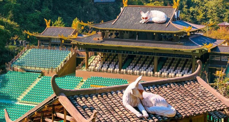 2-Day Private Zhangjiajie Tour Avatar Mountain, Glass Bridge - Frequently Asked Questions