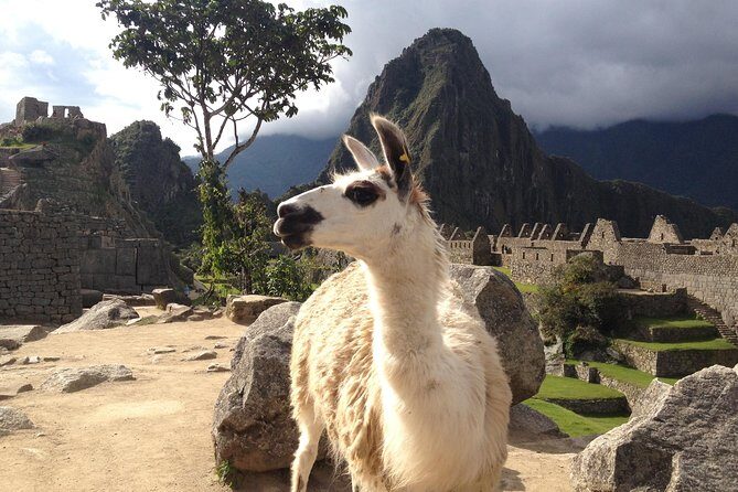 2 Day Sacred Valley Tour & Machu Picchu - Key Points